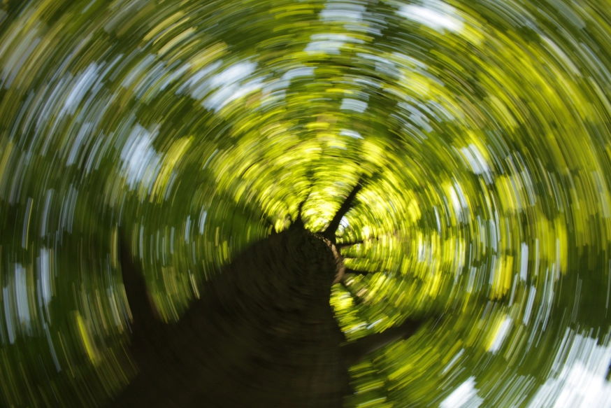 spinning-bokeh-canopy.png