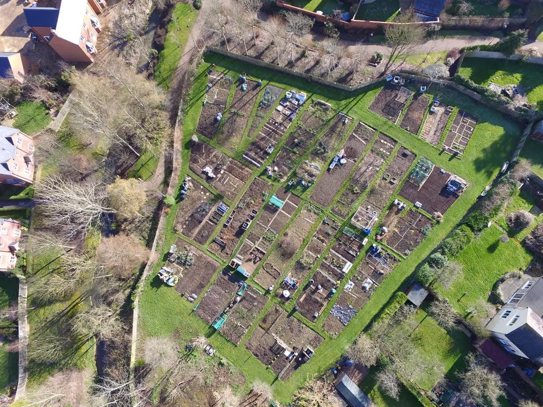 allotments-northamptonshire.jpeg