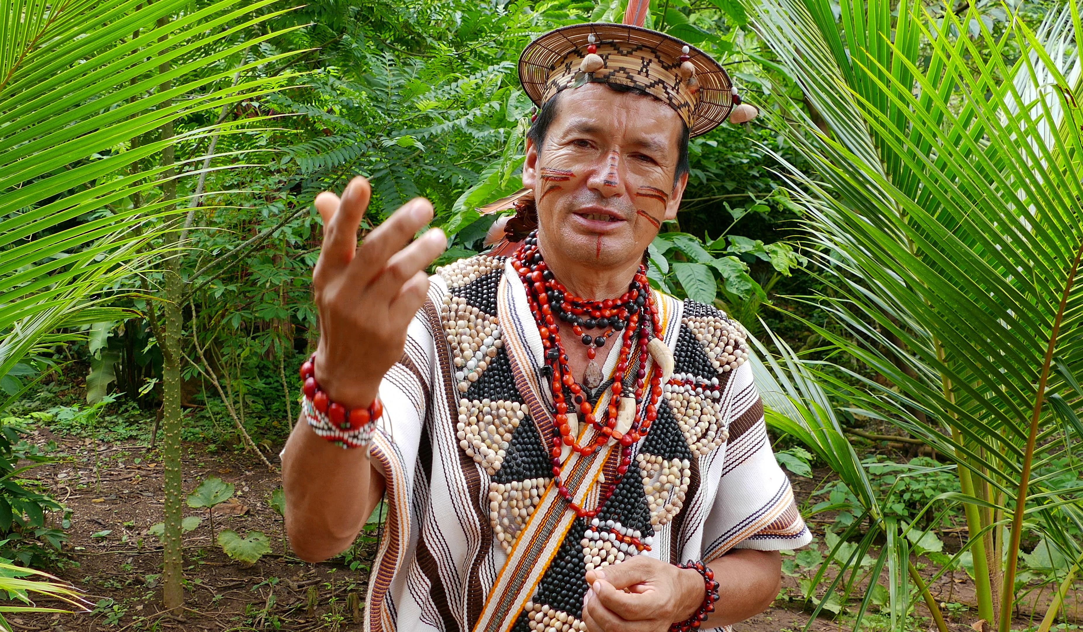 chief-parari-the-wolf-speaking.jpg