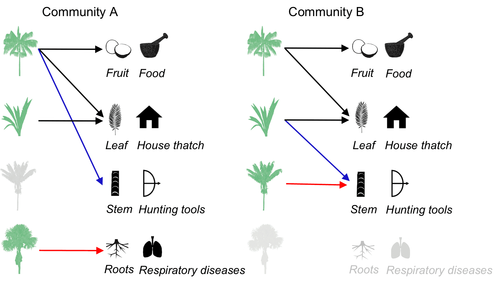 diagram-plant-knowledge.png