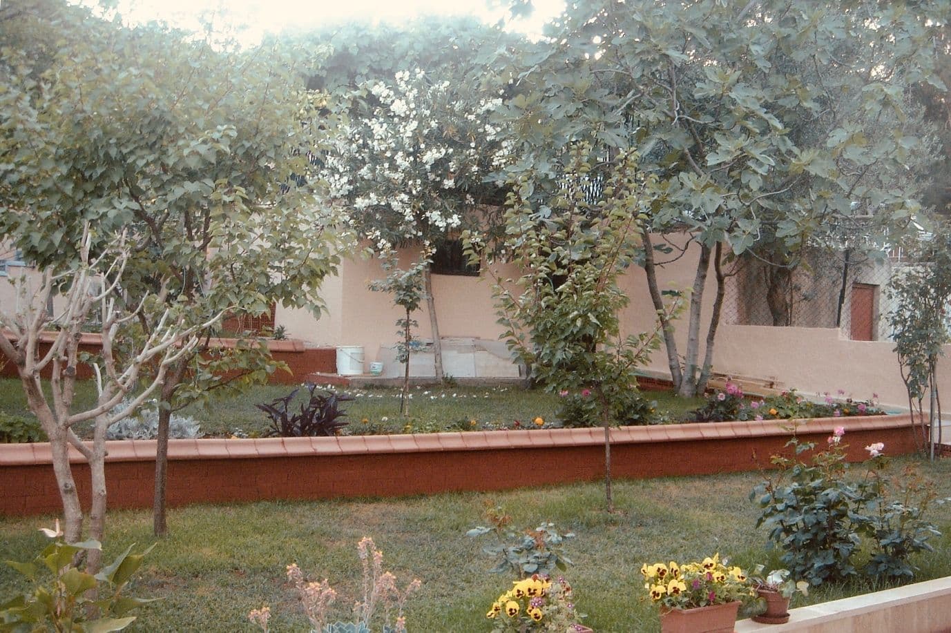 garden-turkey.jpeg