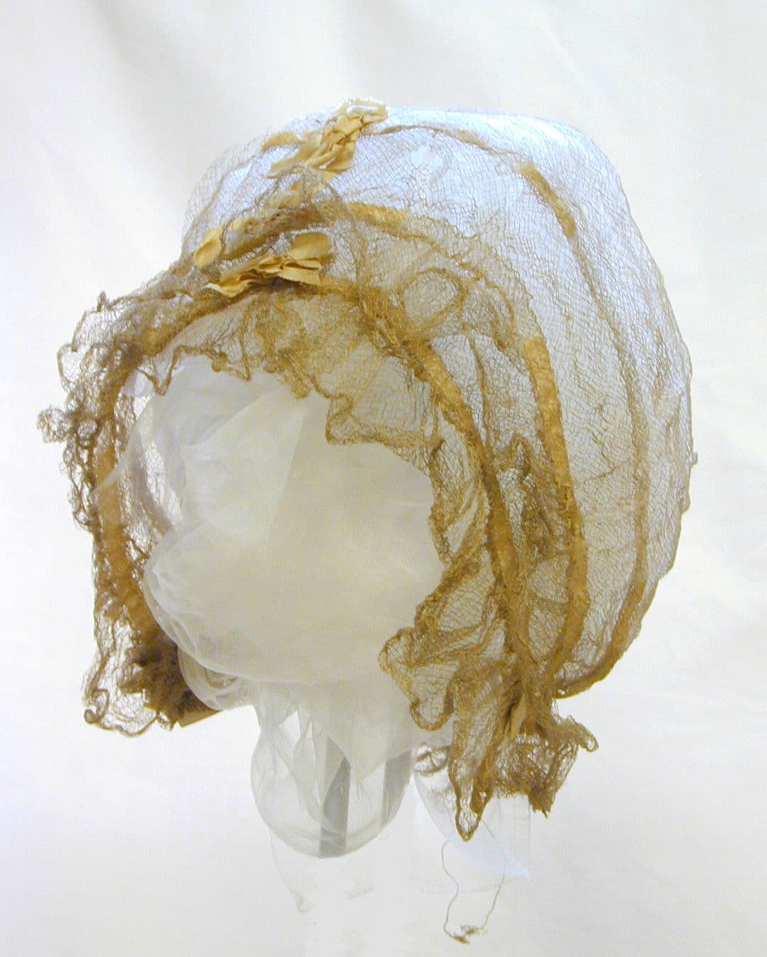 lace-bark-cap.JPG