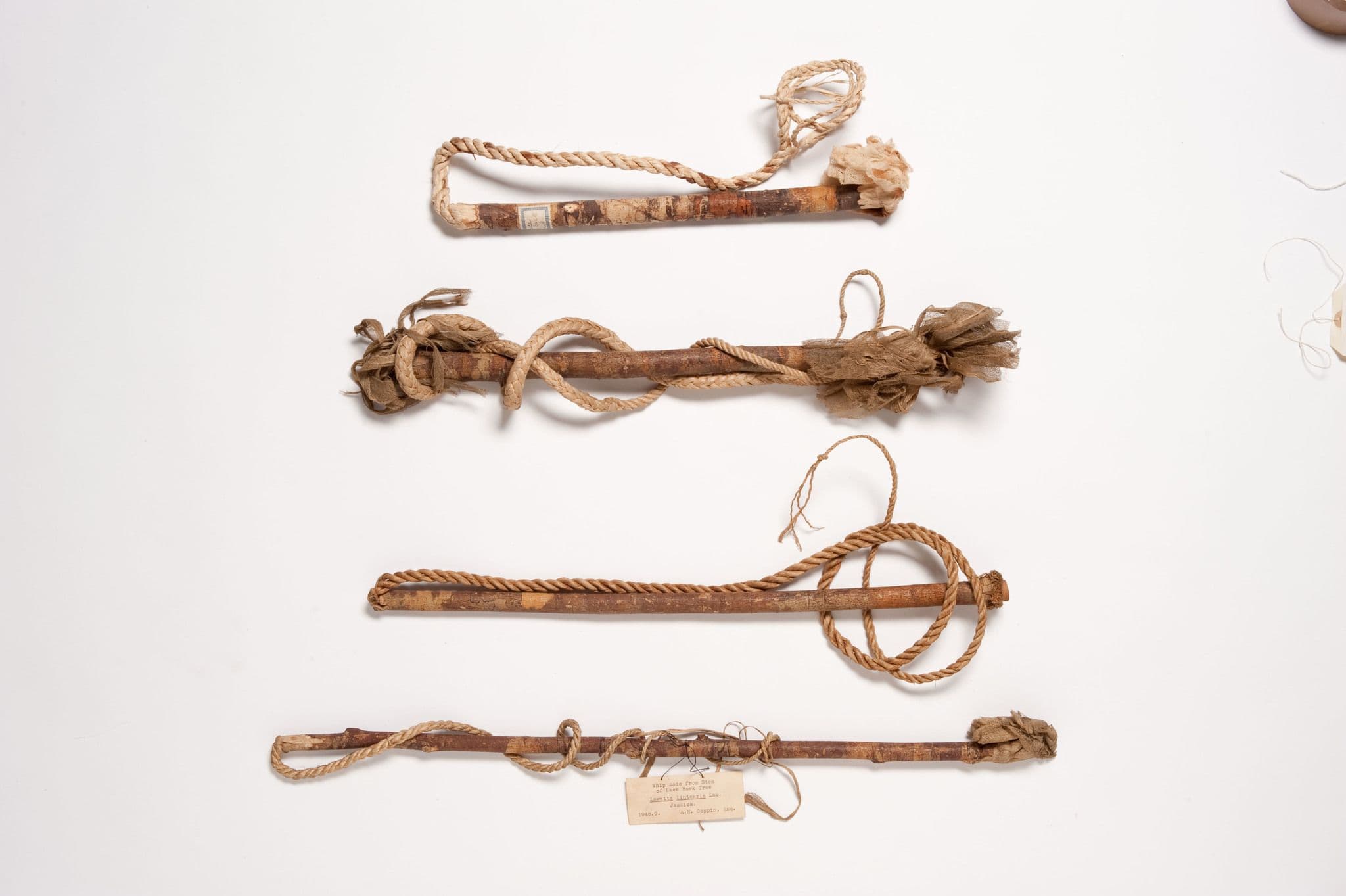 lace-bark-whips.jpg