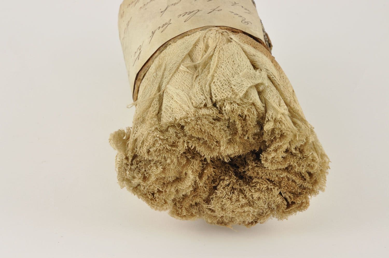 lagetta-lagetto-anterior.jpg