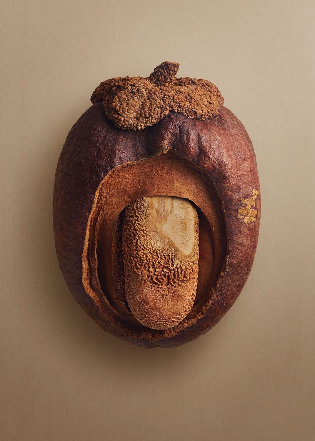 medang-pajal.jpg