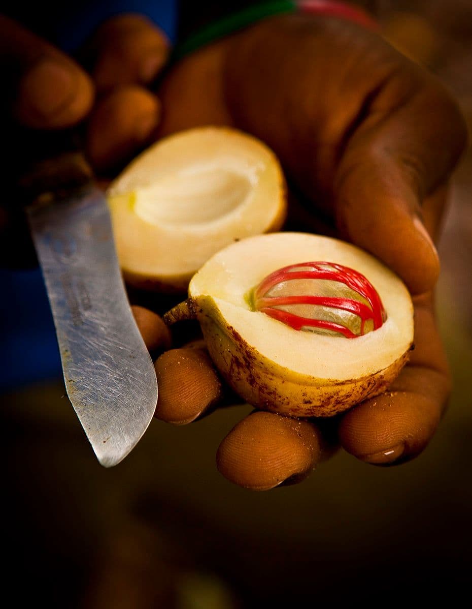 nutmeg-sliced-in-half.jpg