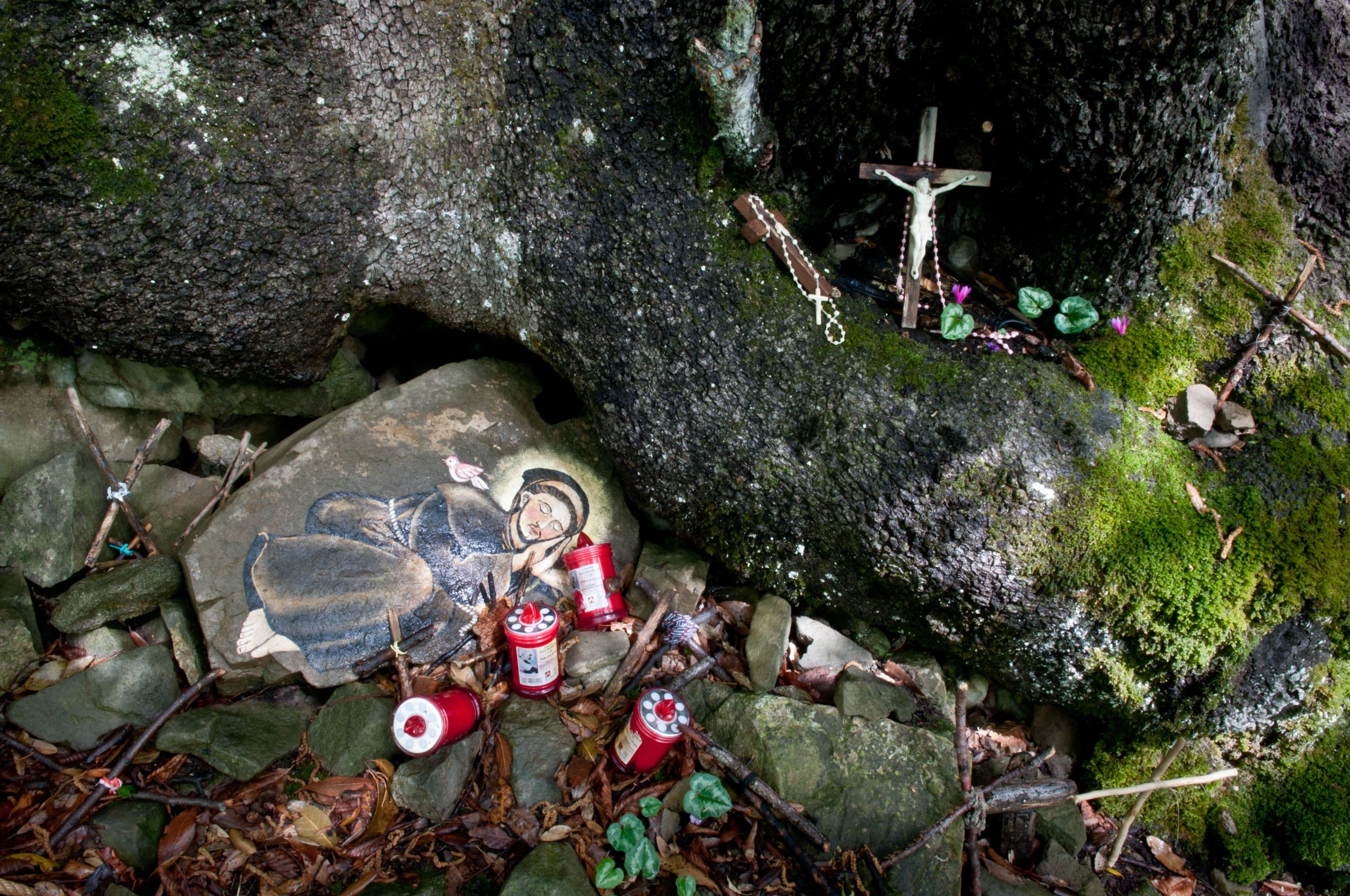 oak-tree-shrine.jpg