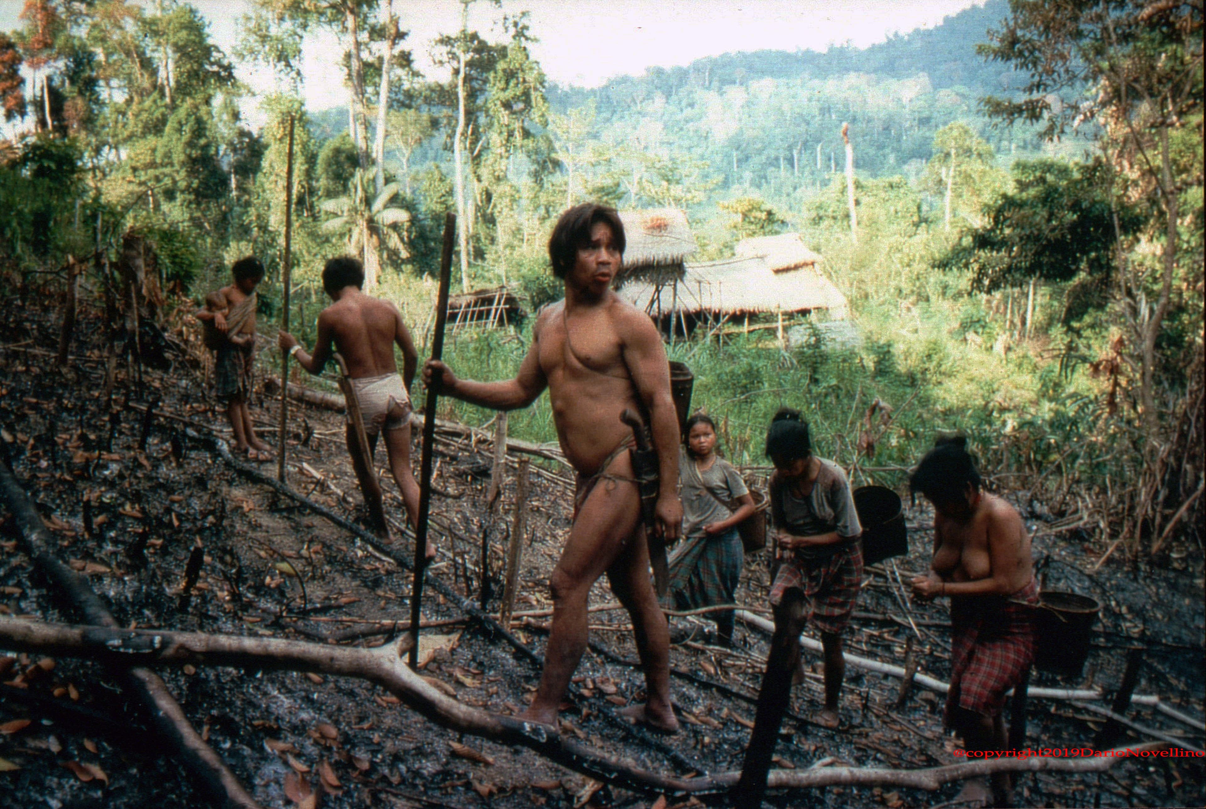 palaawan-planting-rice.jpg