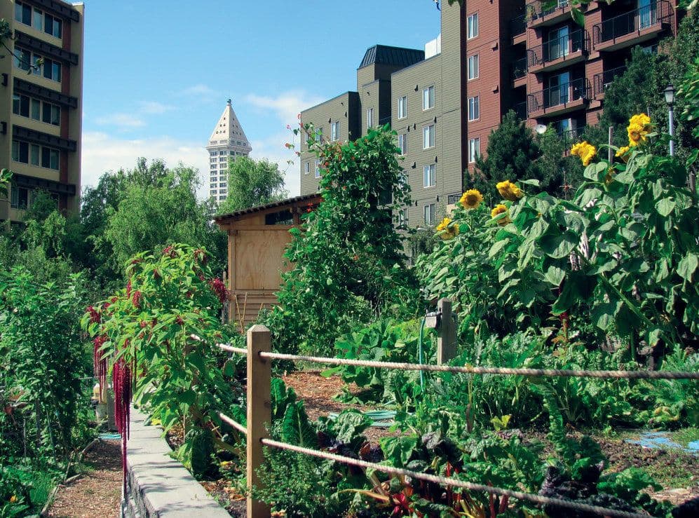 seattle-urban-garden.jpeg