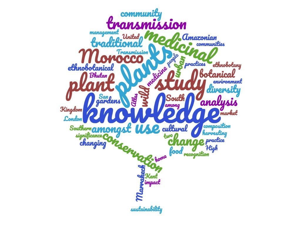 word-cloud-tree-1.jpeg