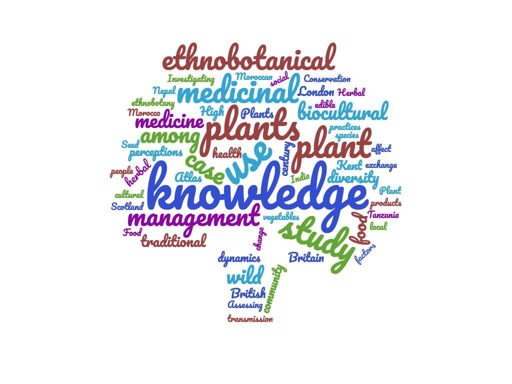 word-cloud-tree-2.jpeg