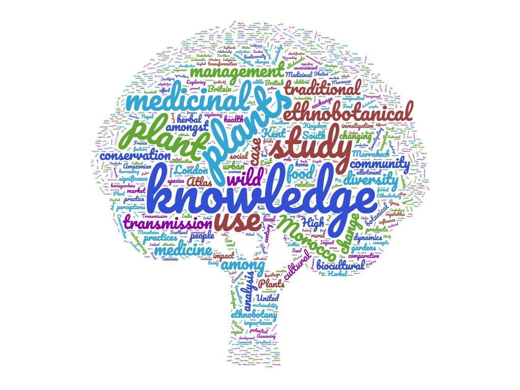 word-cloud-tree-3.jpeg