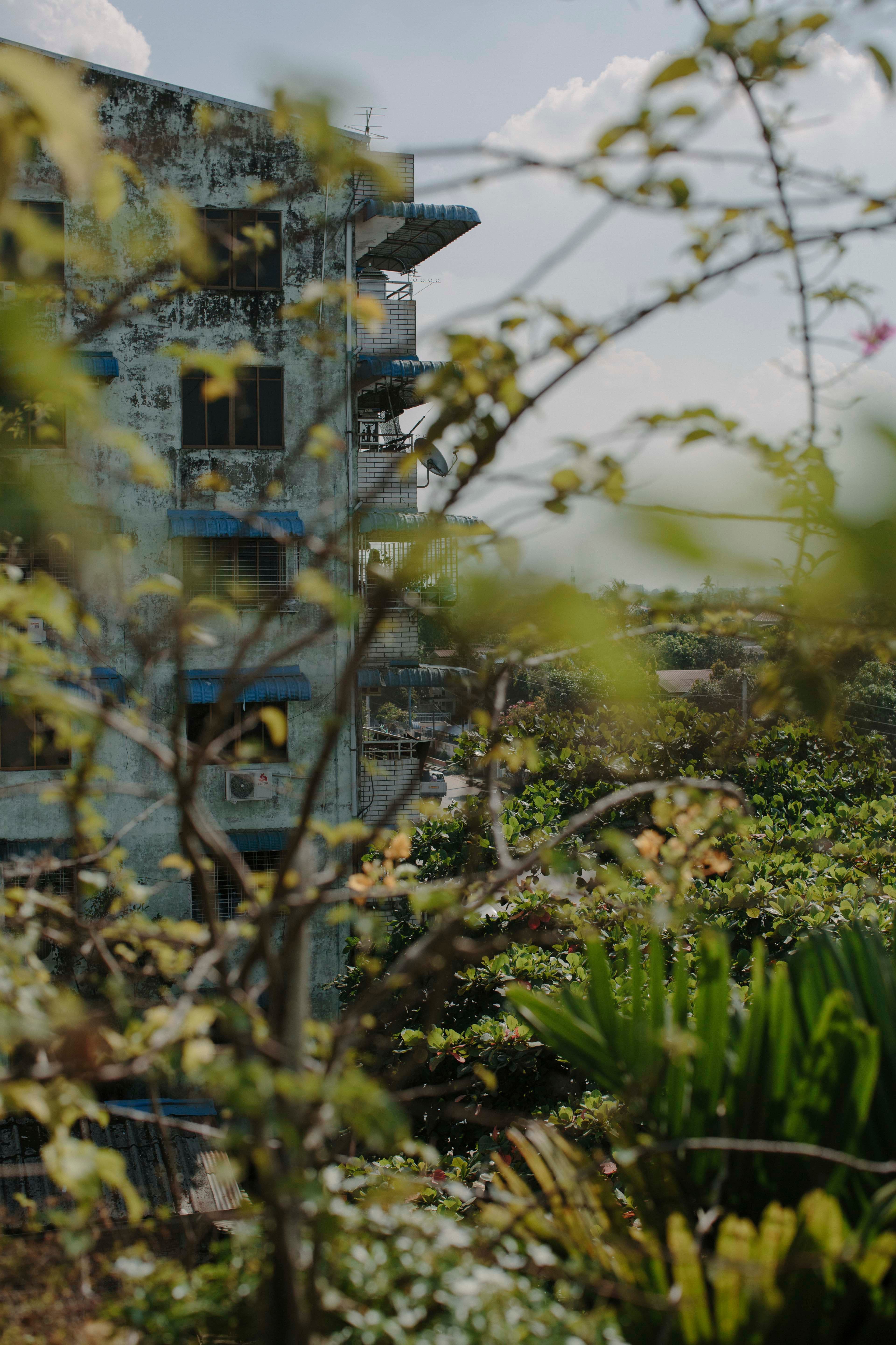 yangon-building-through-branches.jpg