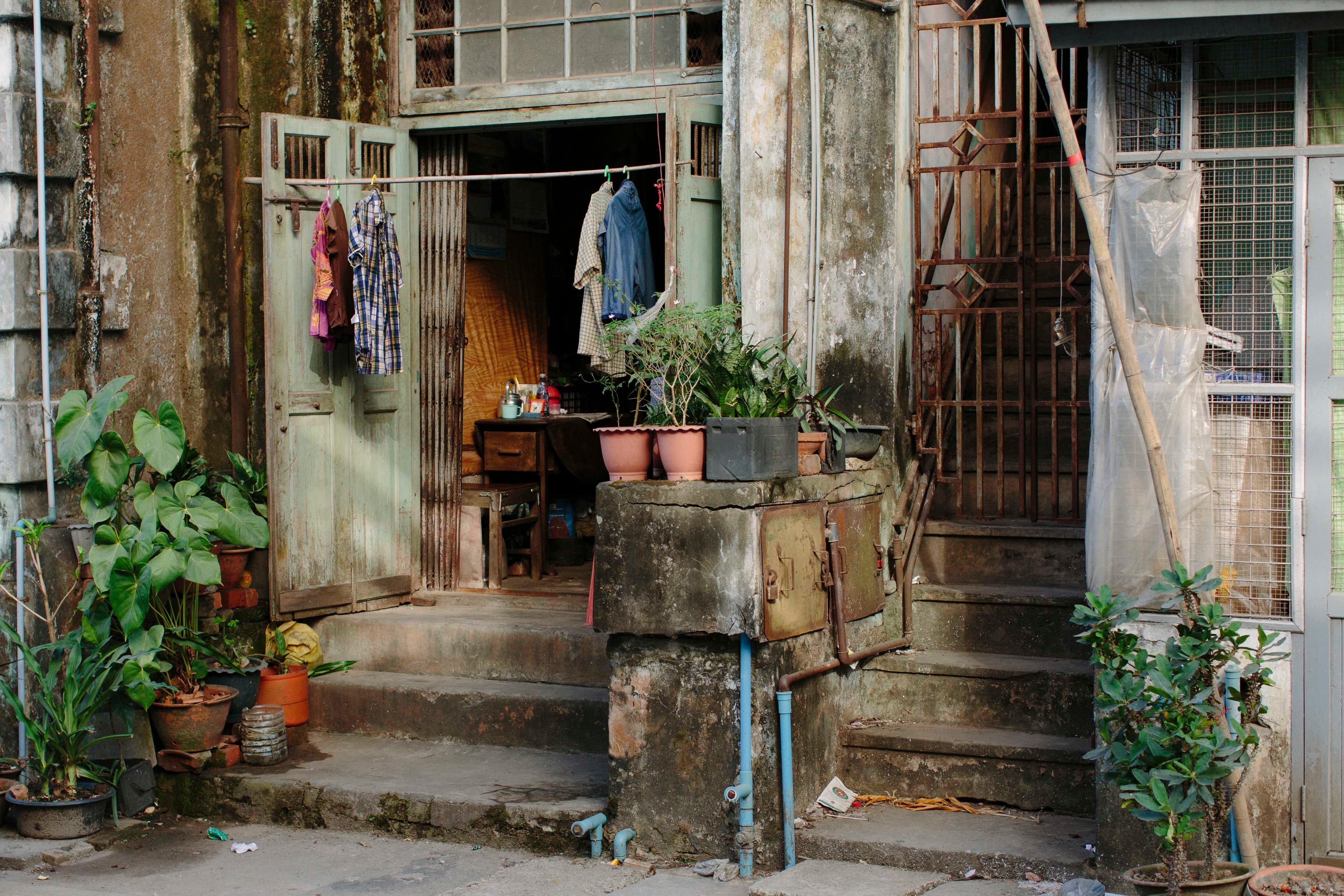 yangon-plants.jpg