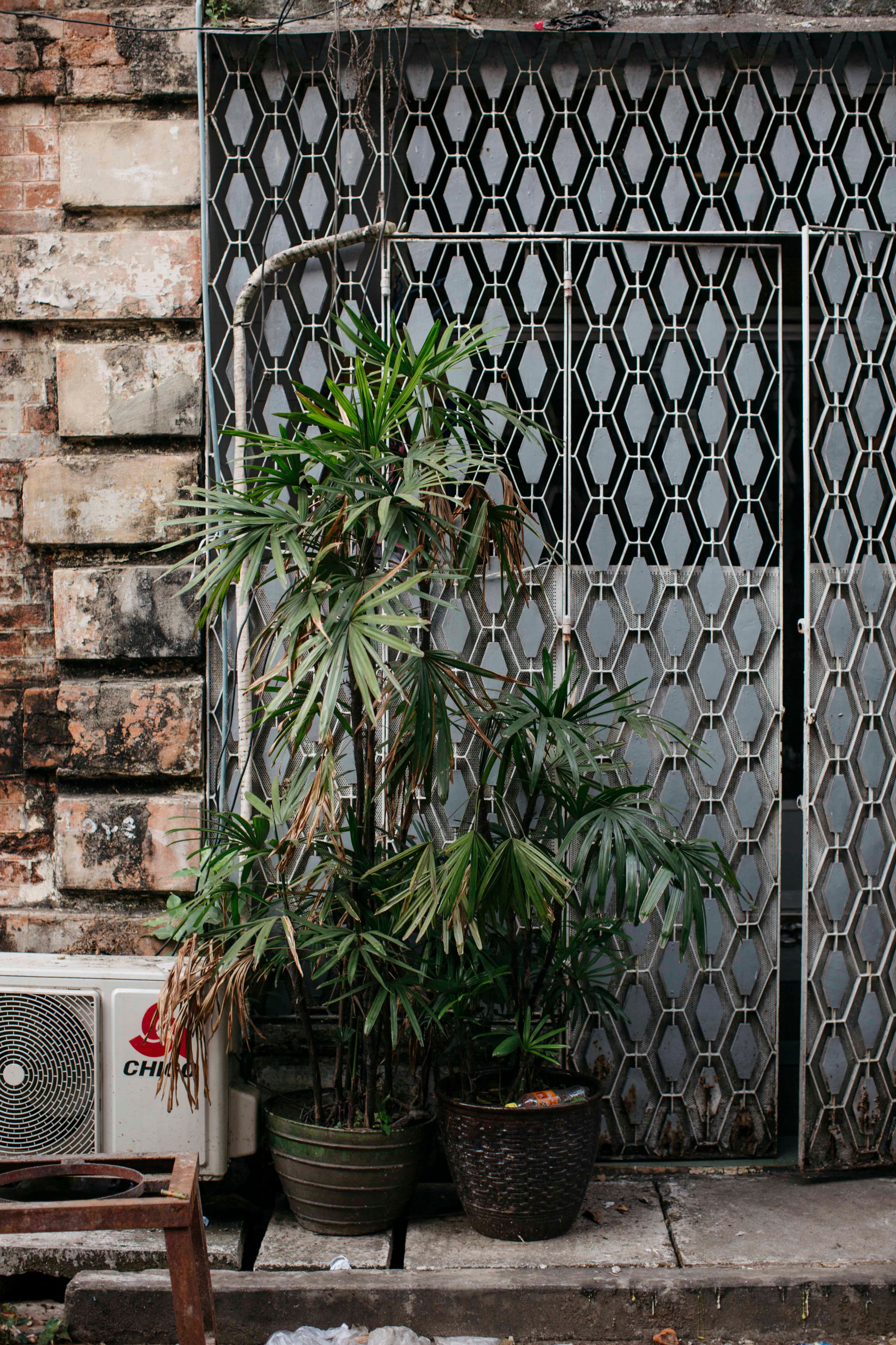 yangon-plants-gate.jpg