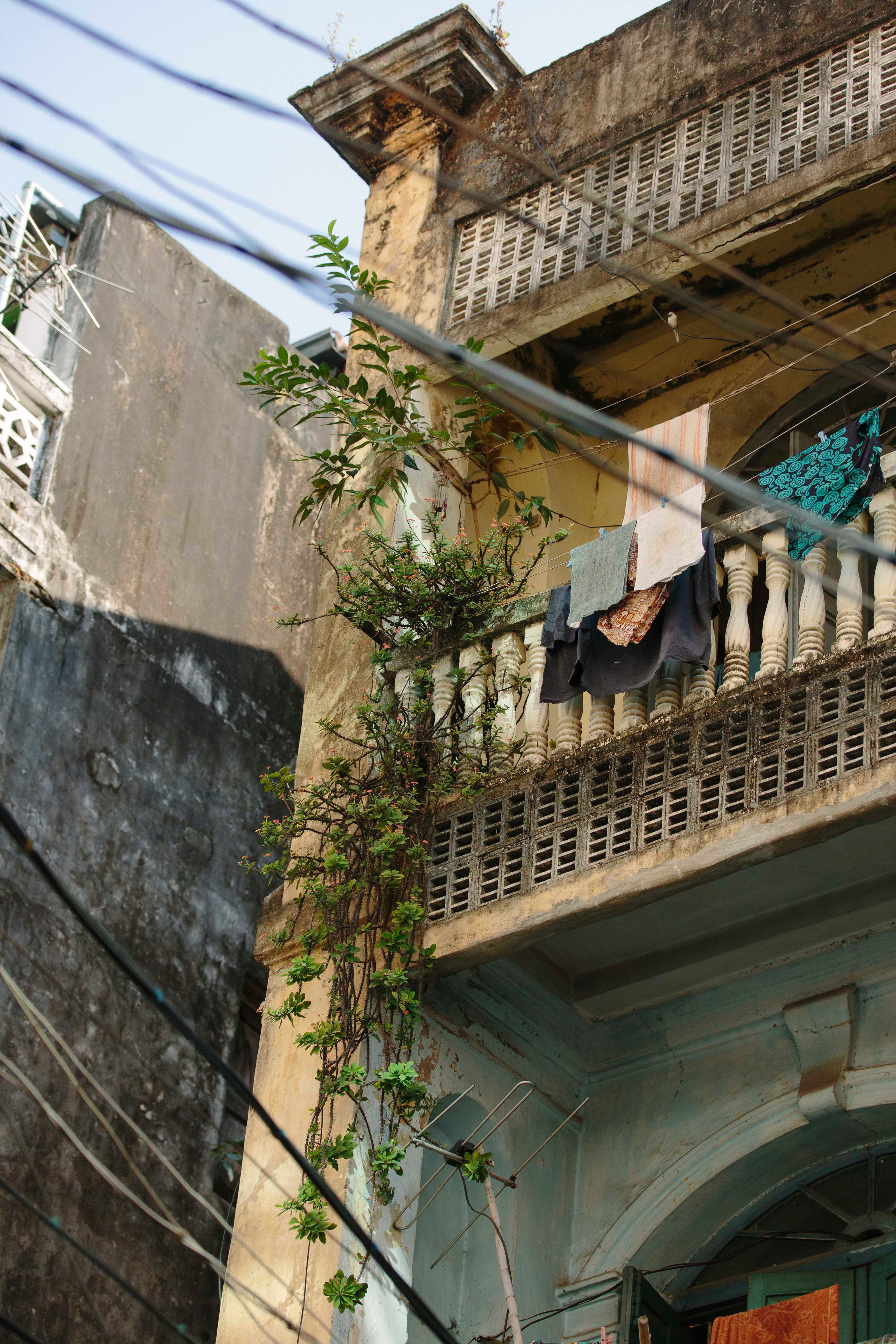 yangon-plants-on-balcony.jpg