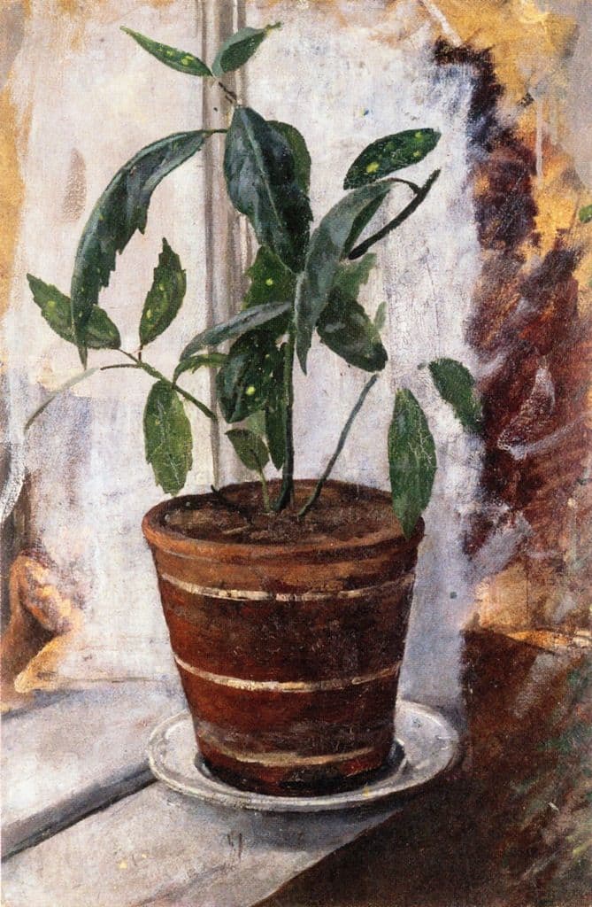 edvard-munch-potted-plants.jpg