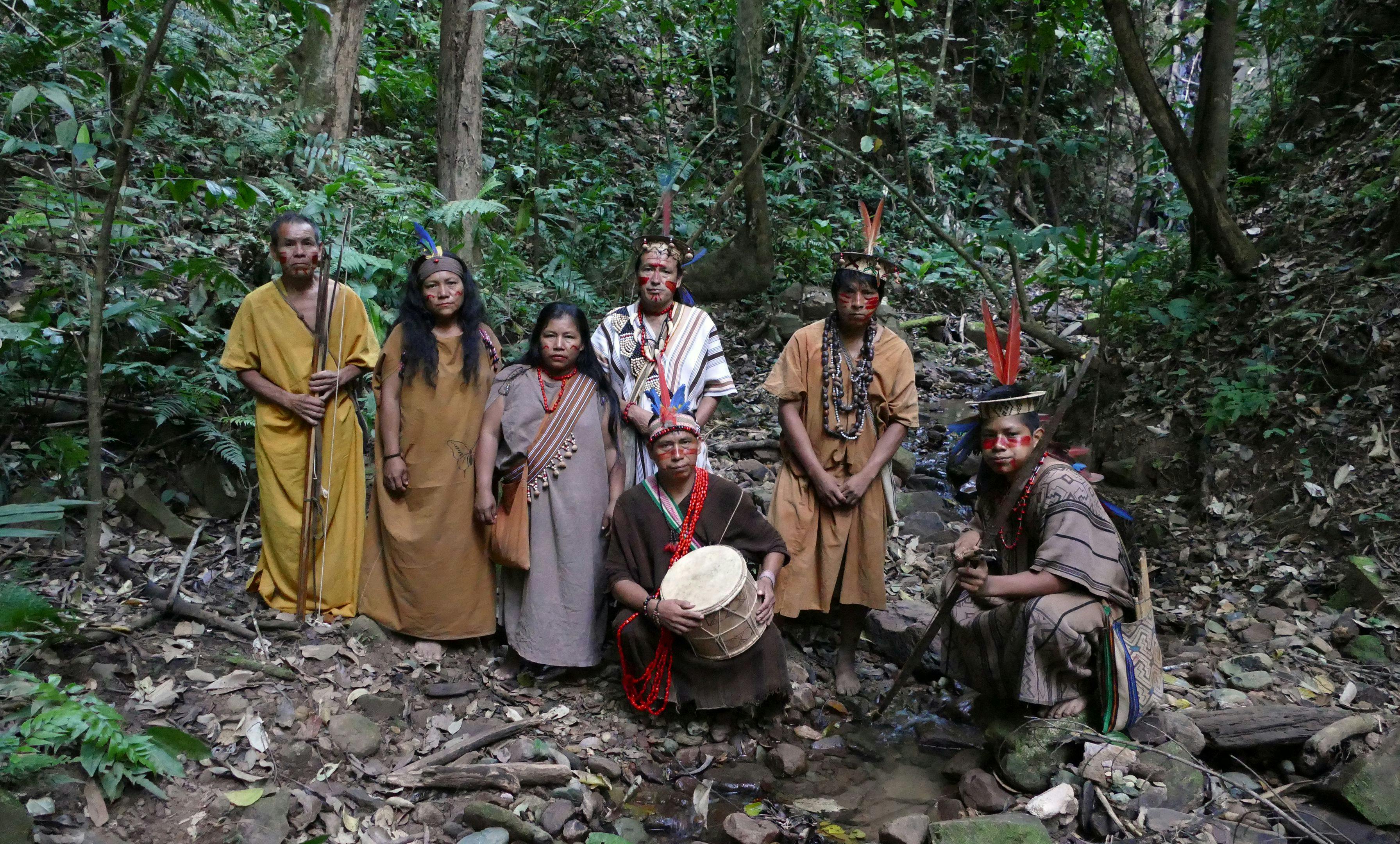 expedition-into-maniri-forest.jpg