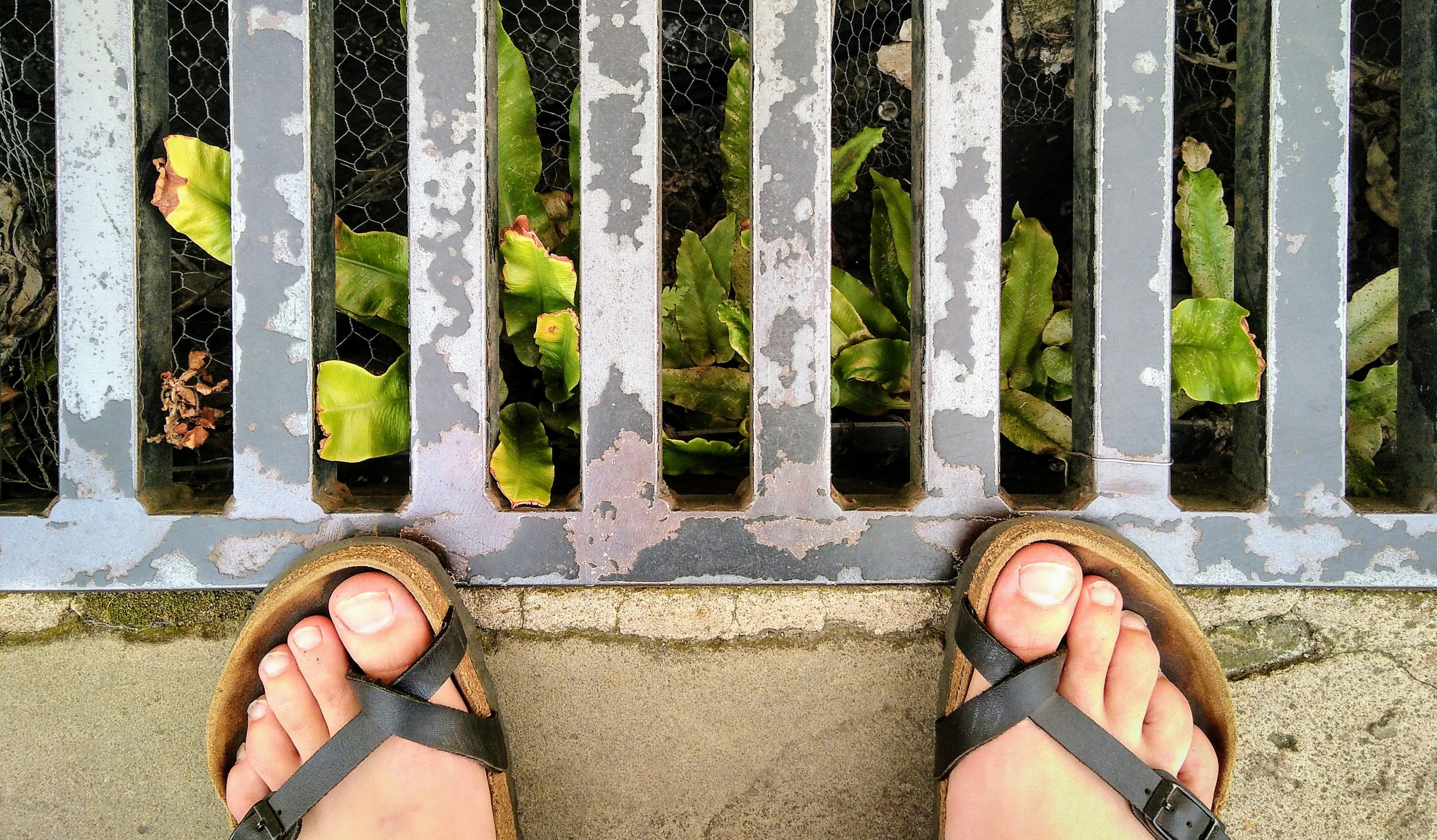 feet-birkenstocks-weeds-grating.jpg