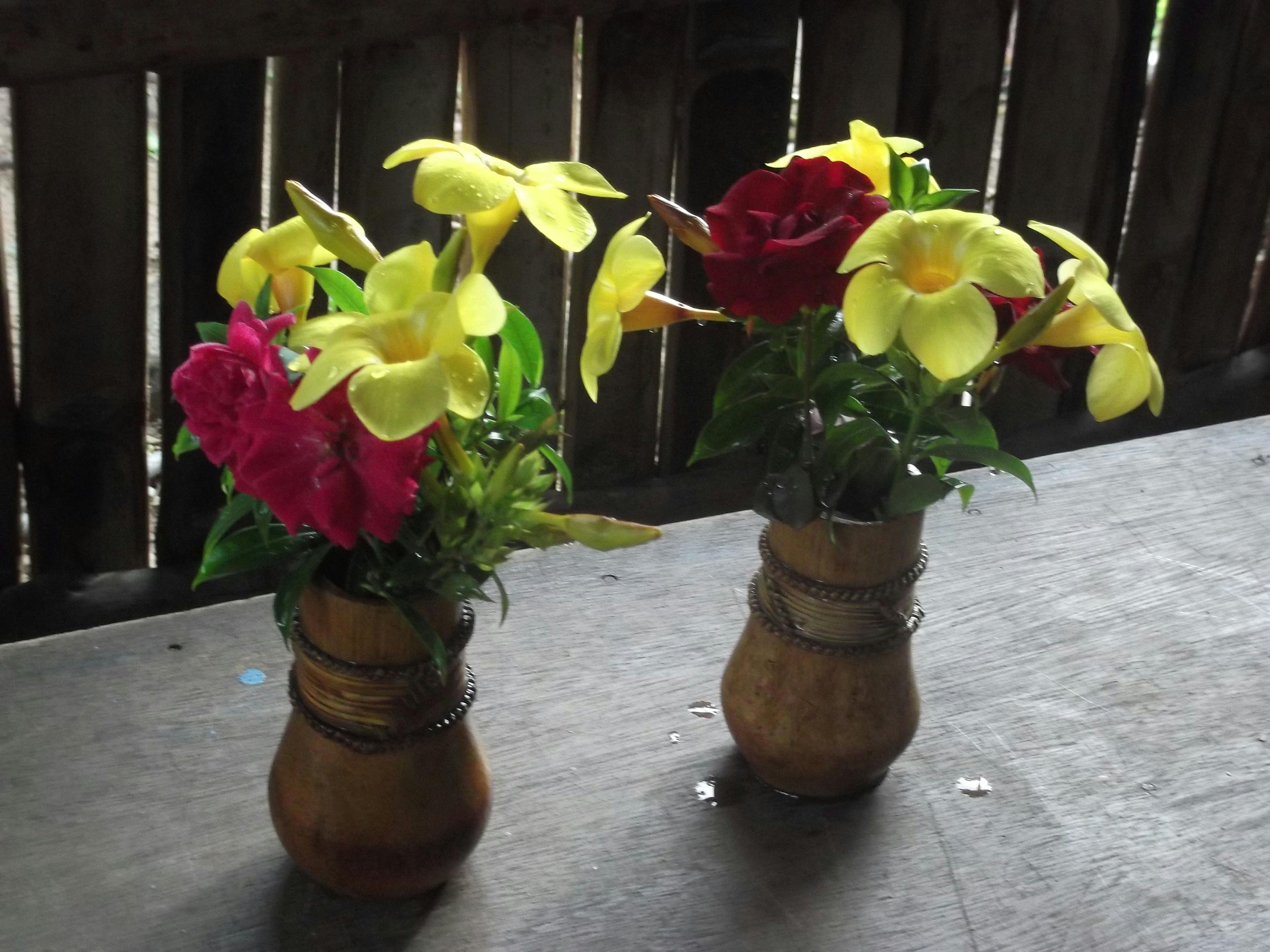 flowers-in-vases.JPG