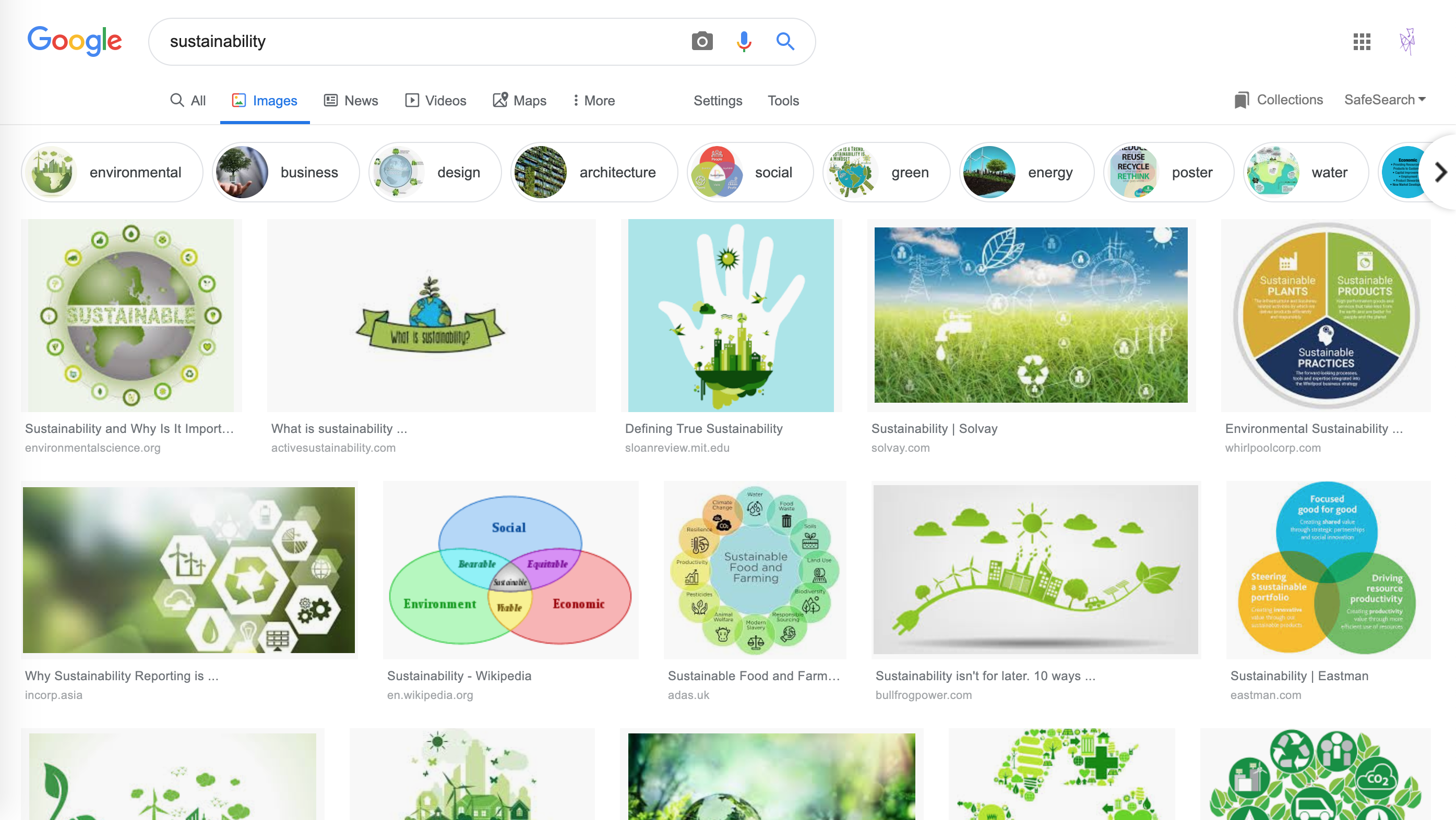google-search-screenshot-sustainability.png