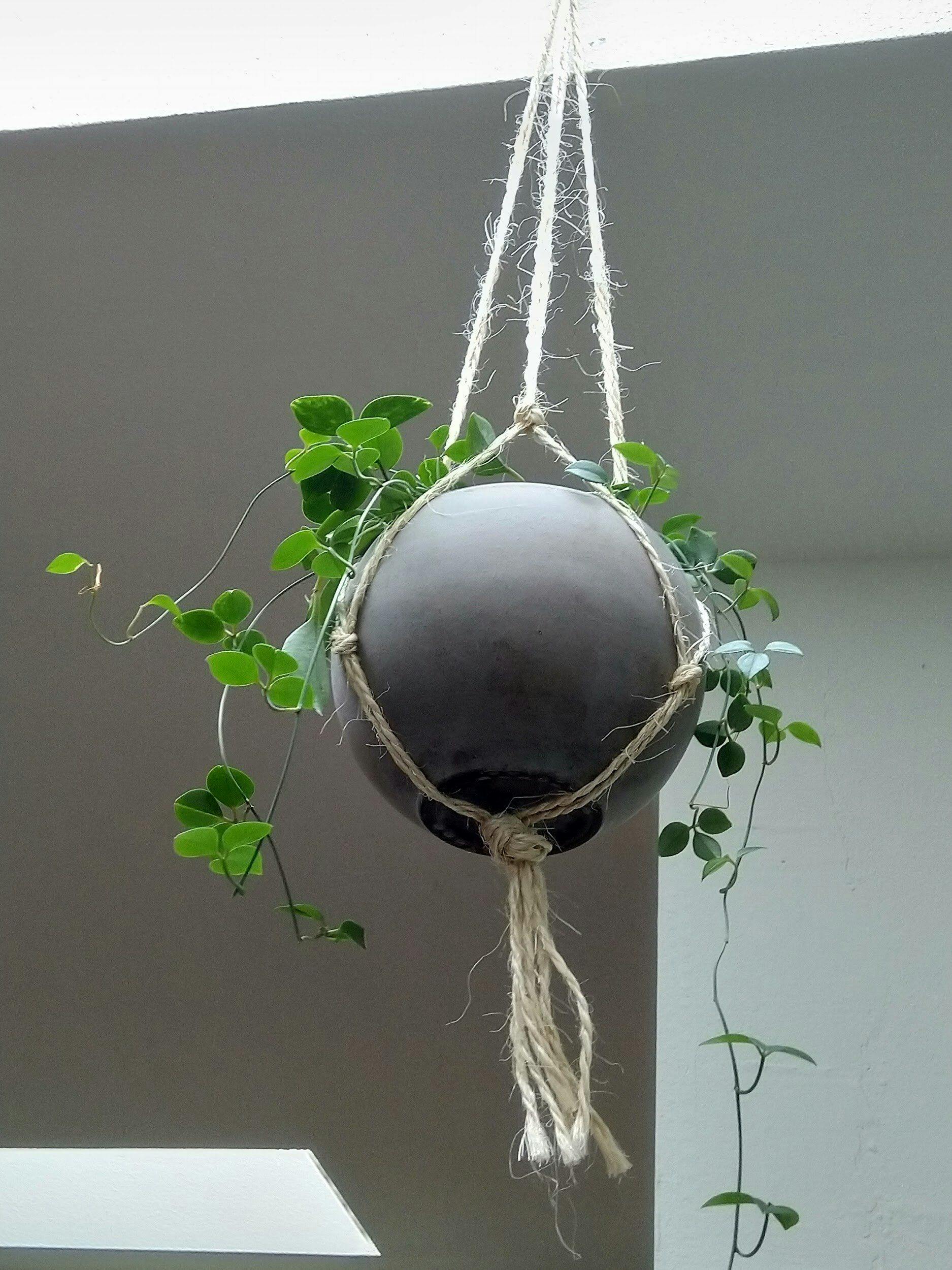 hanging-planter.jpeg