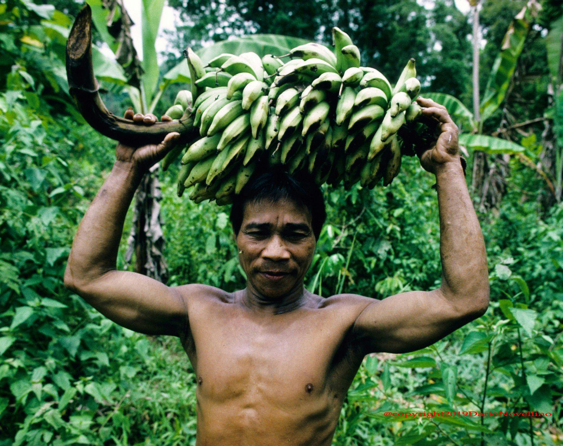 palaawan-carrying-bananas.jpg