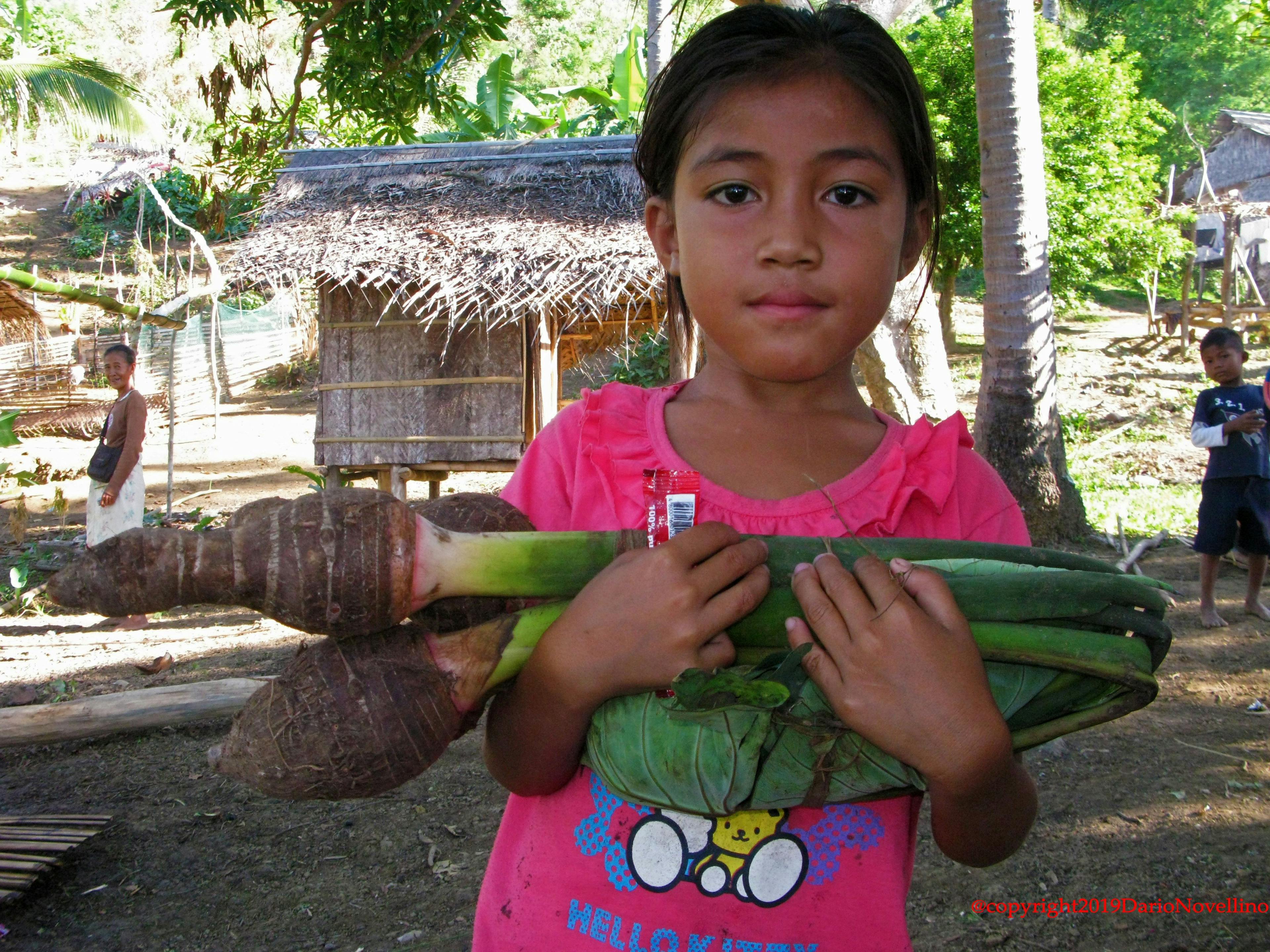 palaawan-girl-with-taro-harvest.jpg