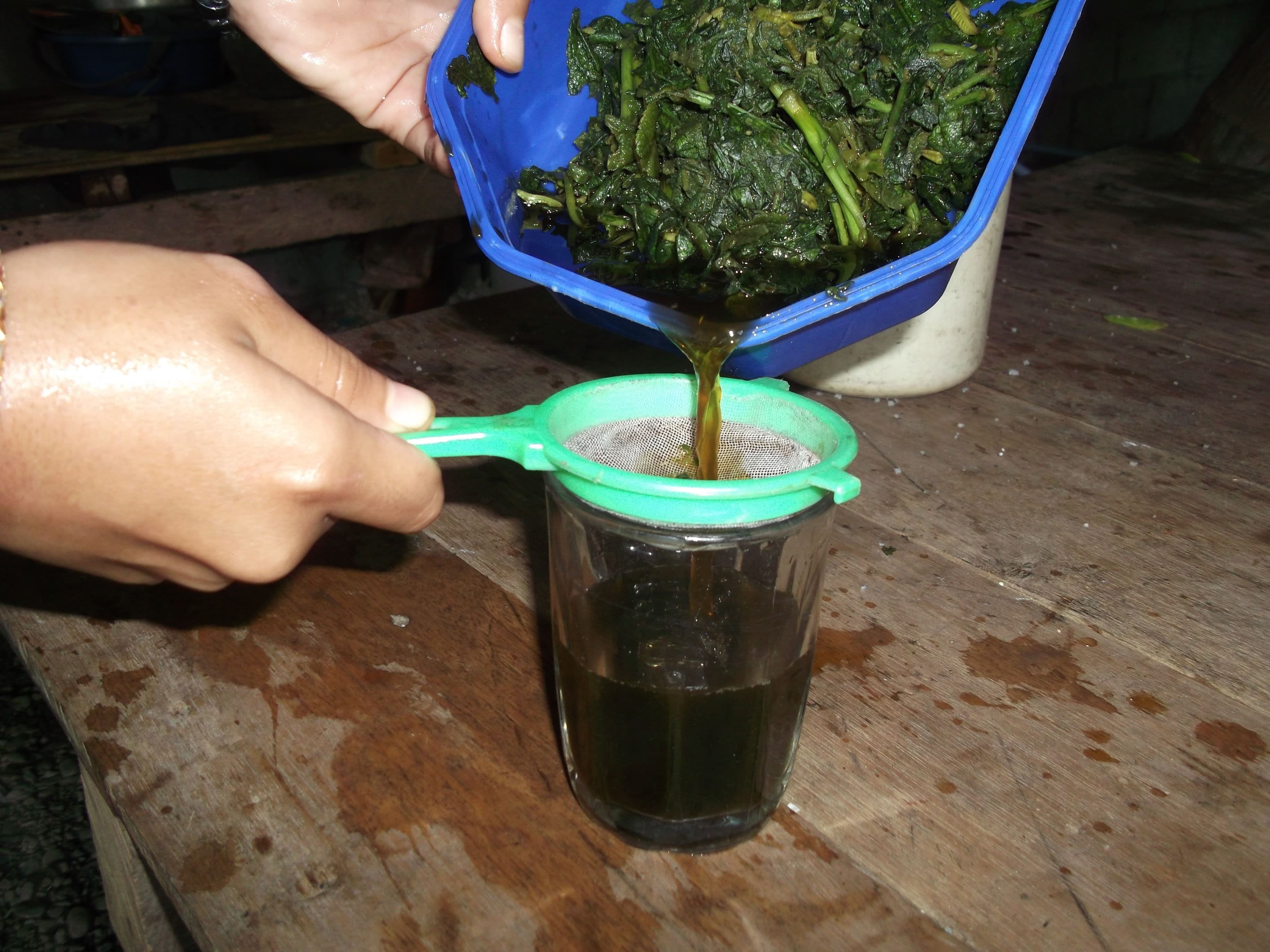 straining-sambong-leaves.JPG